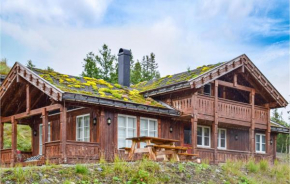 Cozy Home In Rjukan With Kitchen